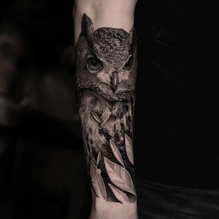 Animals · forearm